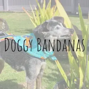 Doggy Bandanas