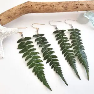 Real preserved fern leaf earrings