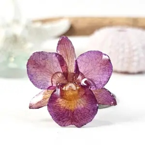 Orchid ring-Apolline