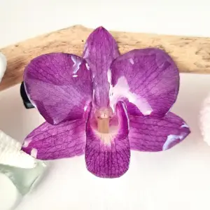 Orchid hairclip-Dianthe