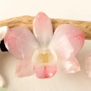Orchid hairclip-Talitha