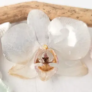 Orchid hairclip-Rowena