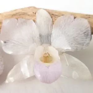 Orchid hairclip-Fenella