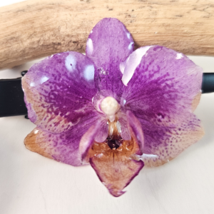 Orchid hairclip-Garnet