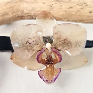 Orchid hairclip-Fawn