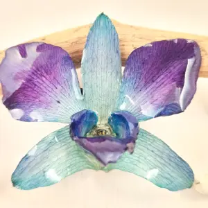 Orchid hairclip-Melusine