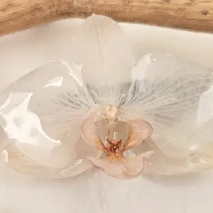 Orchid hairclip-Cameo