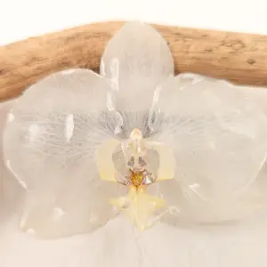 Orchid hairclip-Edelweiss