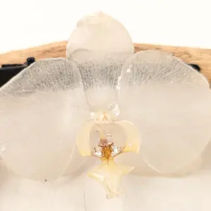 Orchid hairclip-Chamomile